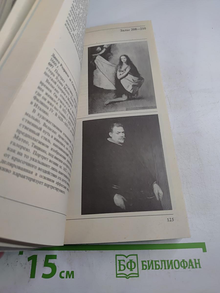 Обзор Дрезденской картинной галереи старых мастеров