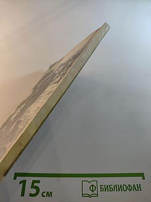 Алеша Джапаридзе