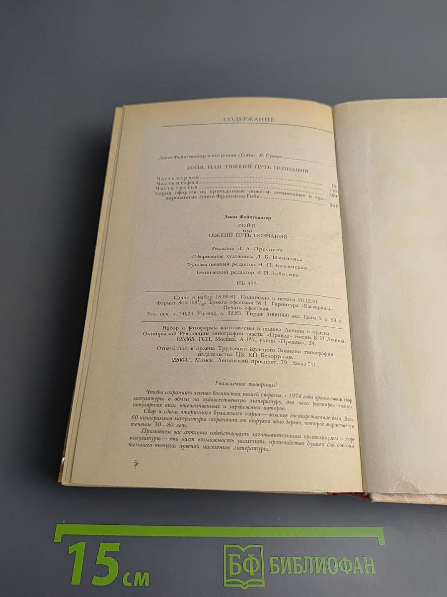 Гойя, или Тяжкий путь познания