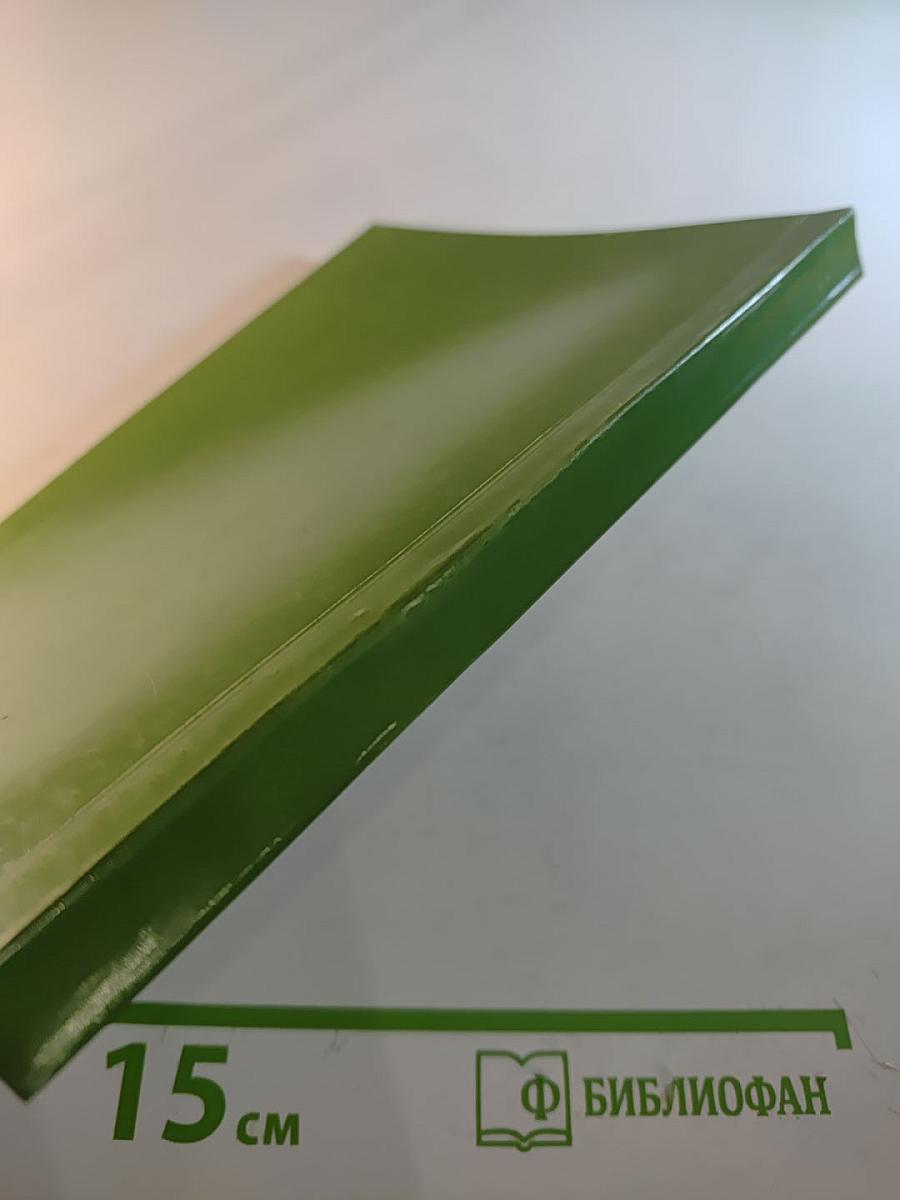 «Пусть меня еще любят и ищут...» (Сборник статей по русской литературе XX века, посвященный памяти Г. А. Цветова)