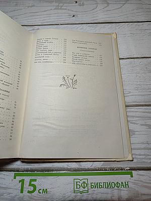 Разговор с весной