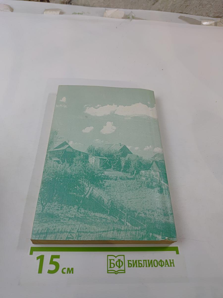 ЗОЛОТОЙ ВЕК или несколько статей по истории Киевской Руси