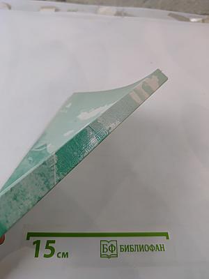 ЗОЛОТОЙ ВЕК или несколько статей по истории Киевской Руси