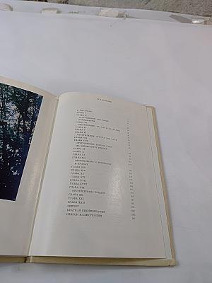 Антуан Ватто