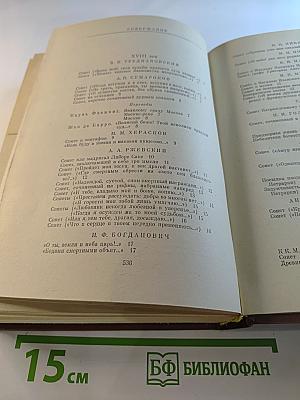 Русский сонет