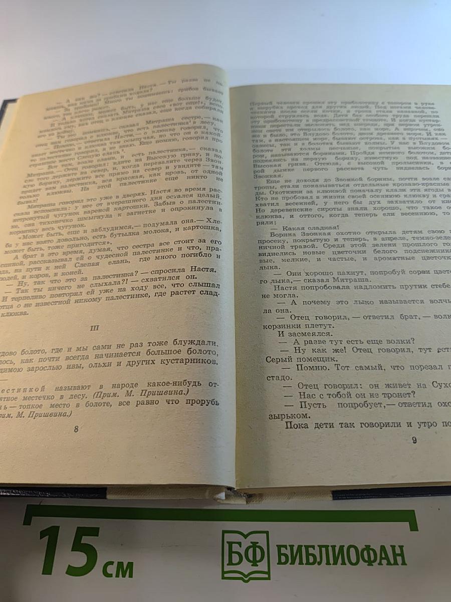 Кладовая солнца. Глаза земли. Корабельная чаща