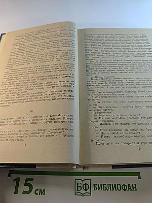 Кладовая солнца. Глаза земли. Корабельная чаща