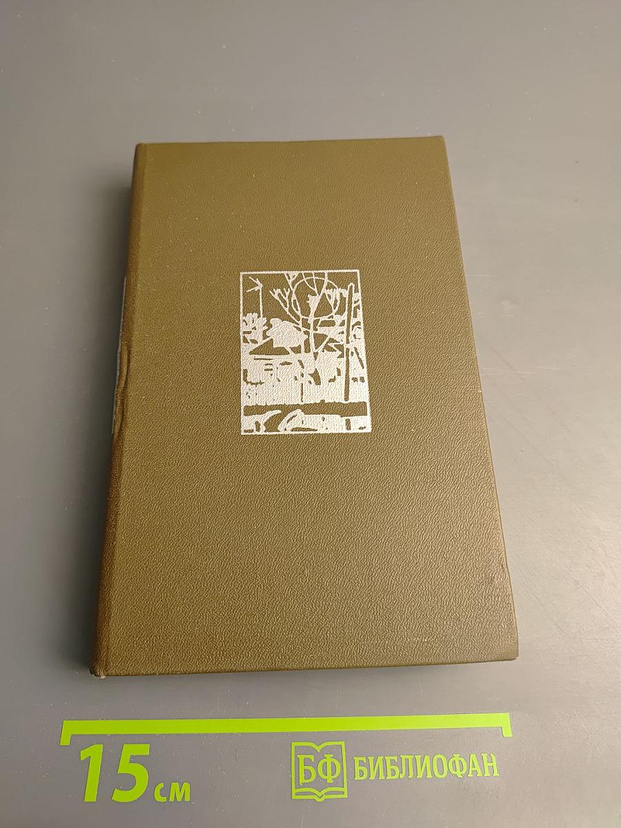 Начало года. Навстречу весне