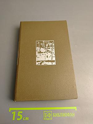 Начало года. Навстречу весне