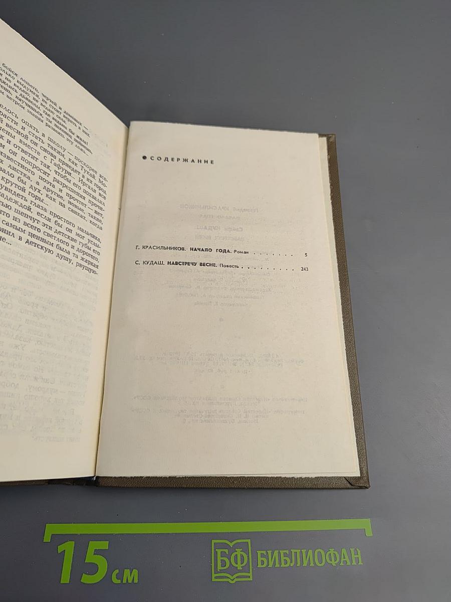 Начало года. Навстречу весне