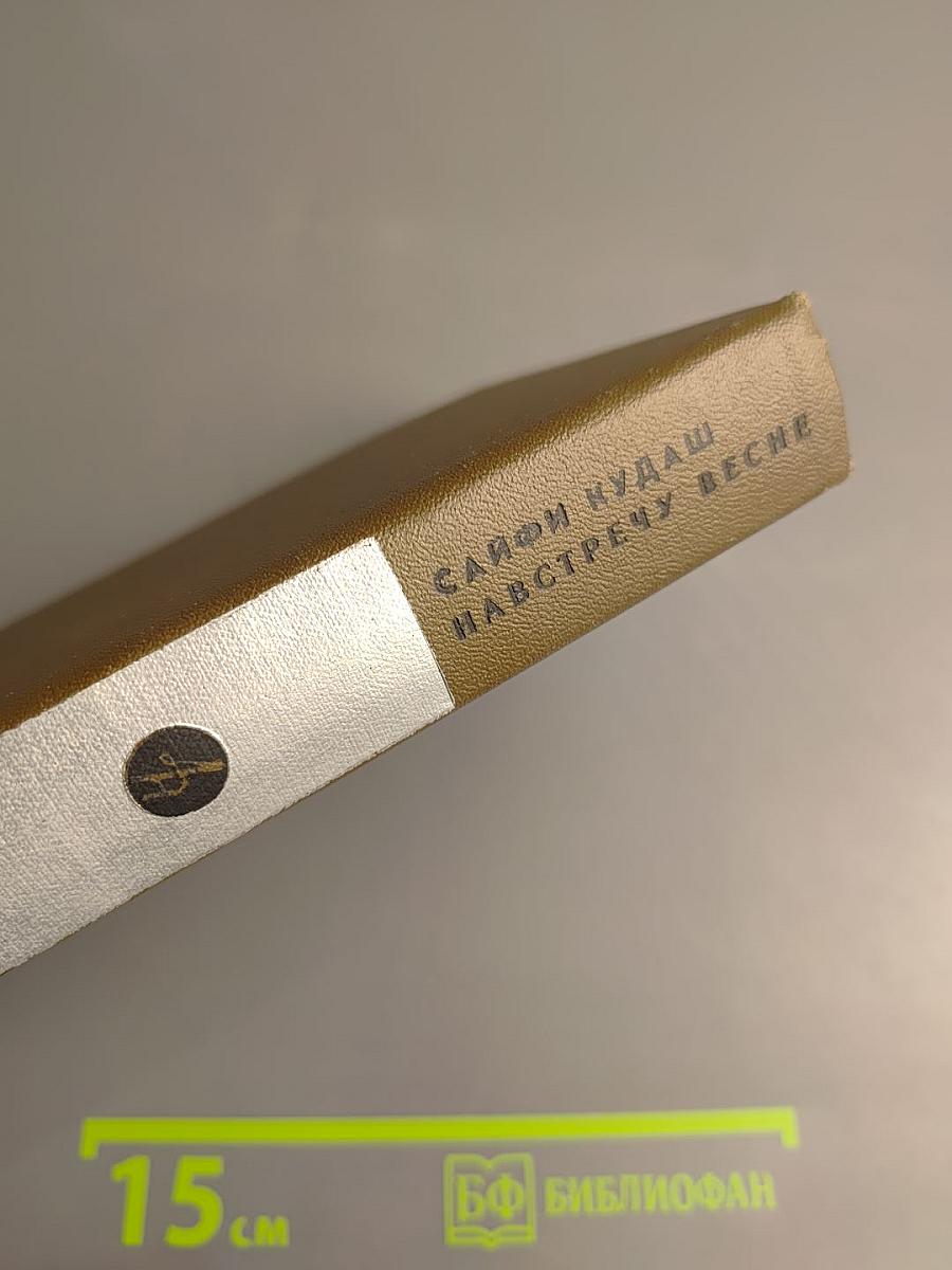 Начало года. Навстречу весне