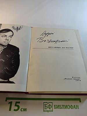 Витражных дел мастер