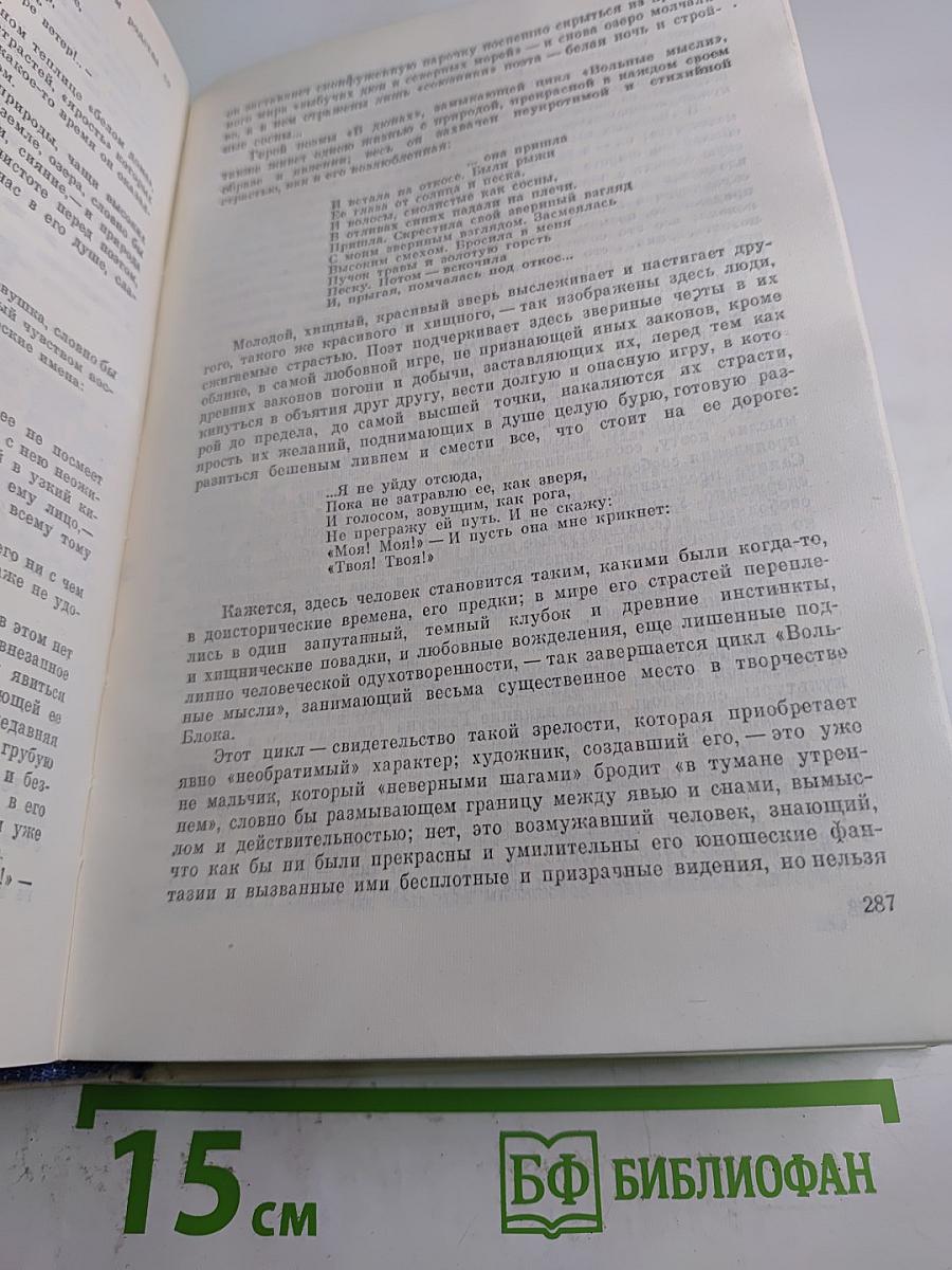 Поэт и его подвиг