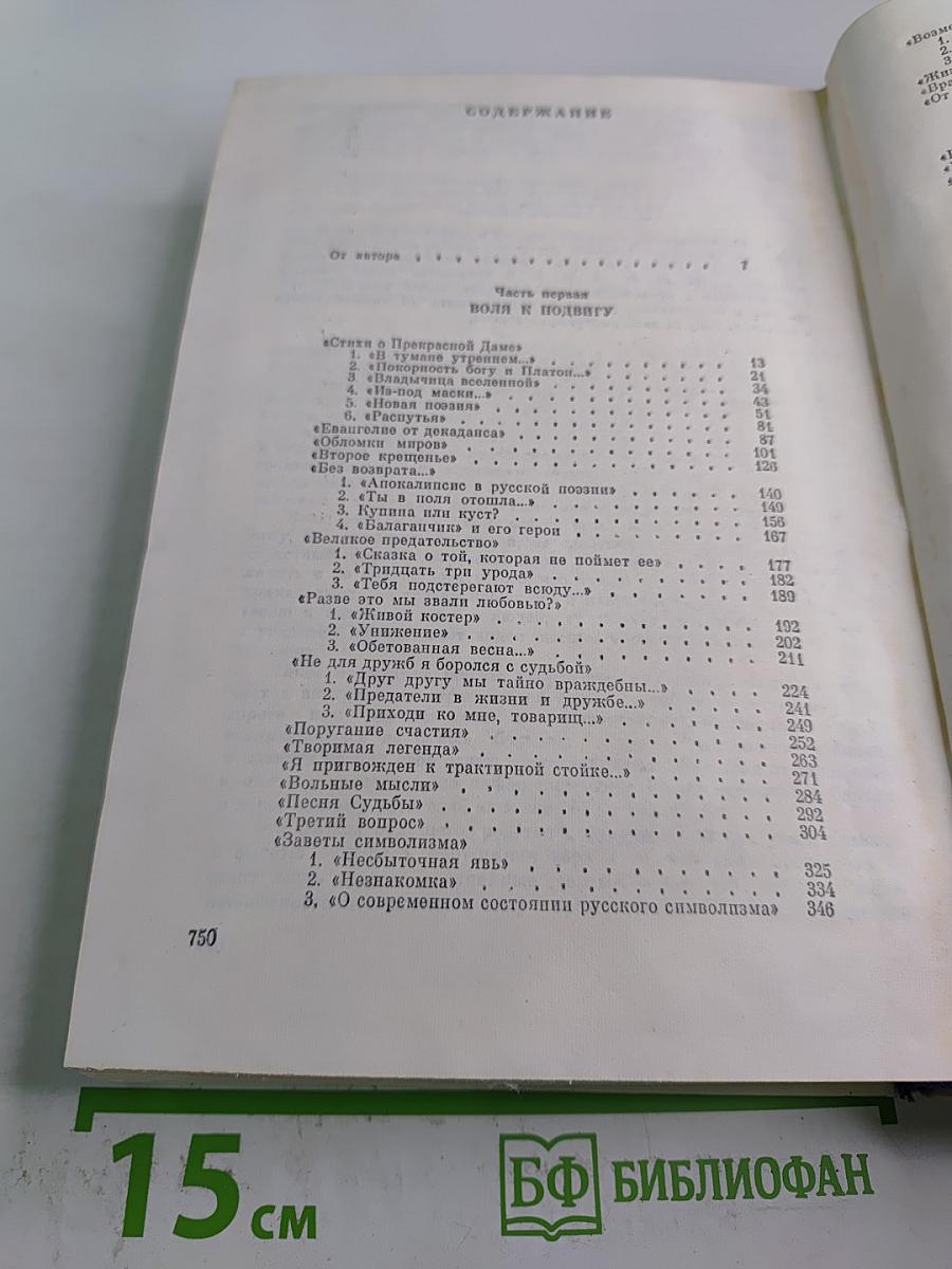 Поэт и его подвиг