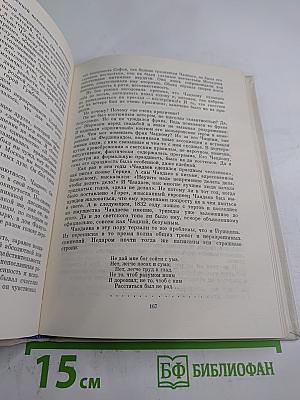 Павел Мочалов