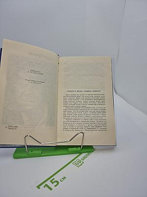 Повесть о настоящем человеке