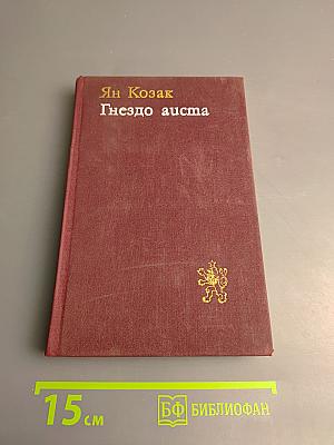 Гнездо аиста