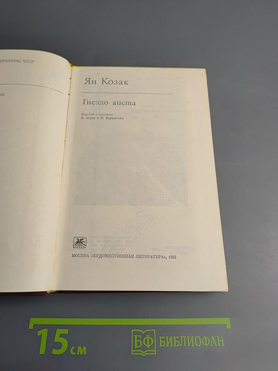 Гнездо аиста