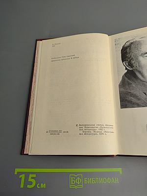 Гнездо аиста