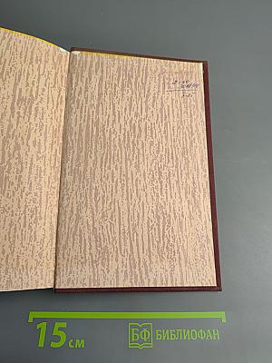 Гнездо аиста