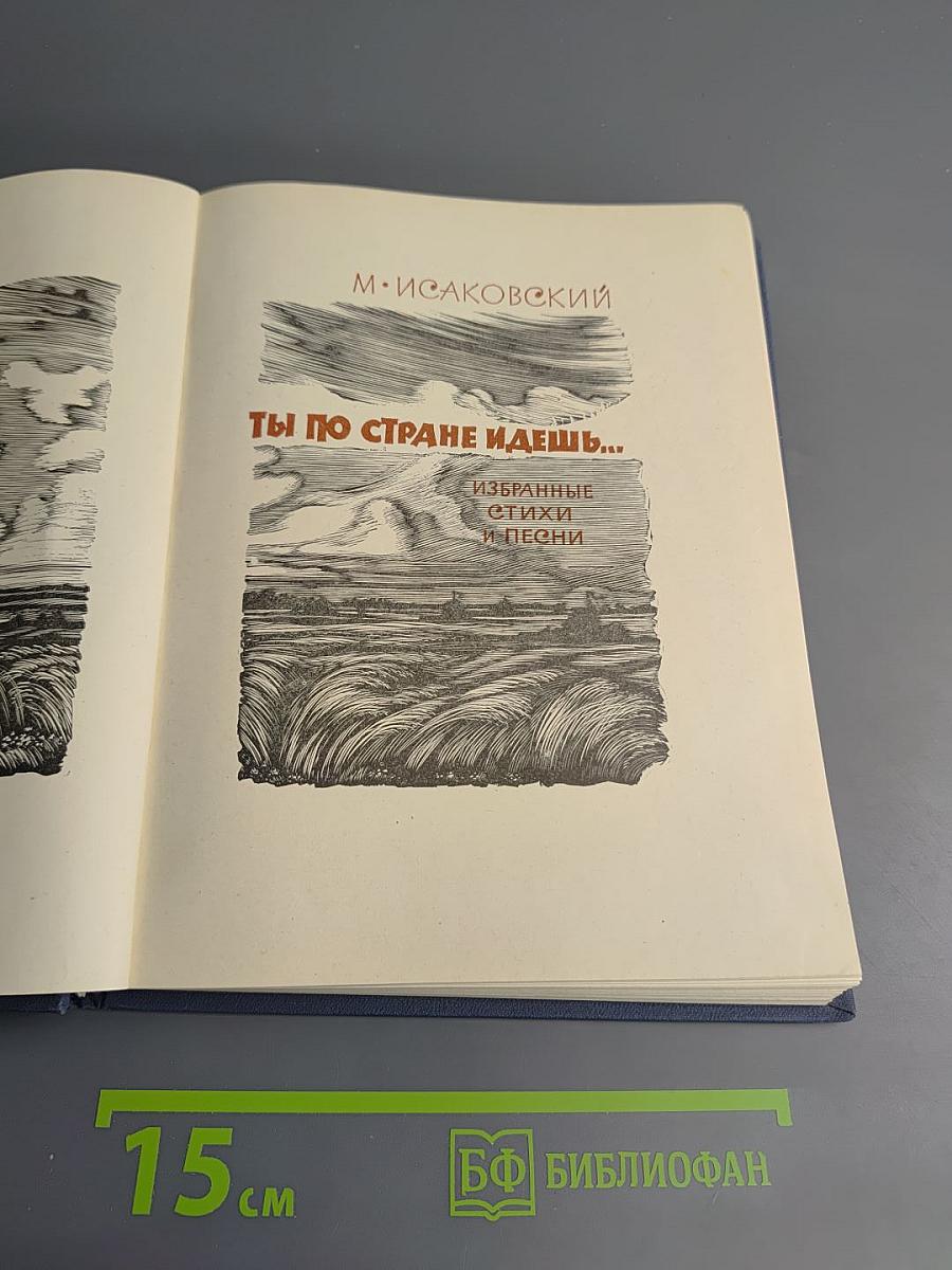 Ты по стране идешь... Избранные стихи и песни