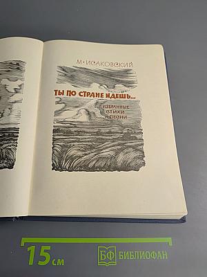 Ты по стране идешь... Избранные стихи и песни