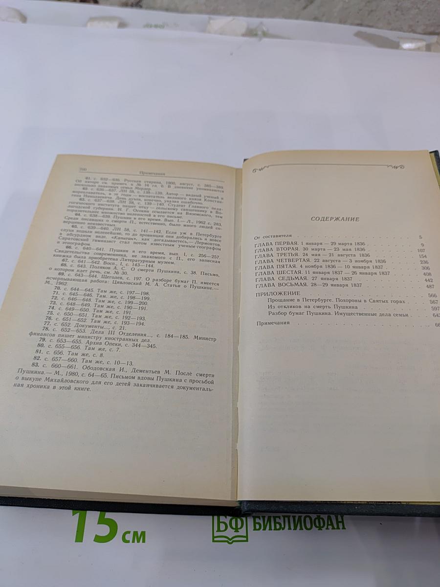 Последний год жизни Пушкина