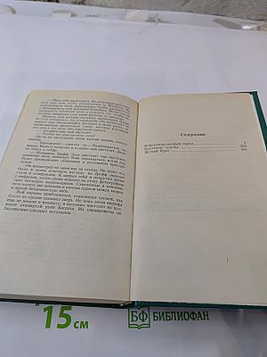Коррумпированный город. Жуткий берег