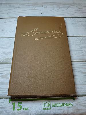 Дневник писателя 1876 год. Том 13