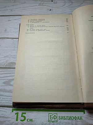 Дневник писателя 1876 год. Том 13