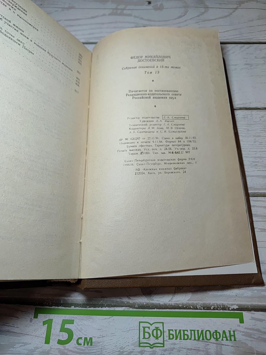 Дневник писателя 1876 год. Том 13