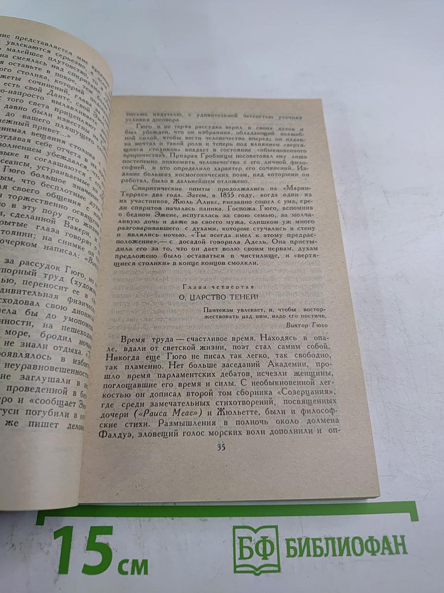 Собрание сочинений в шести томах. Том 6. Олимпио, или Жизнь Виктора Гюго