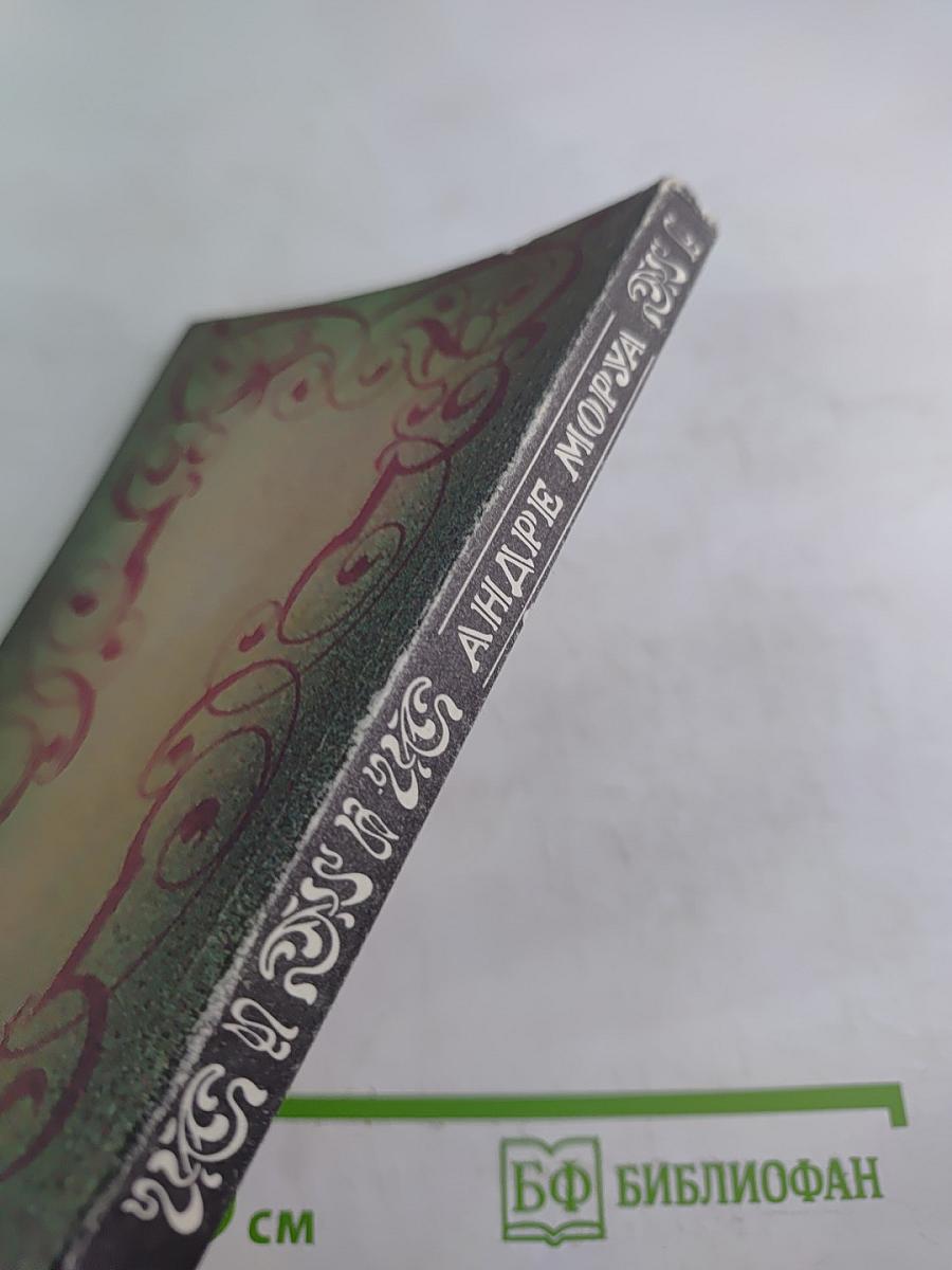 Собрание сочинений в шести томах. Том 6. Олимпио, или Жизнь Виктора Гюго