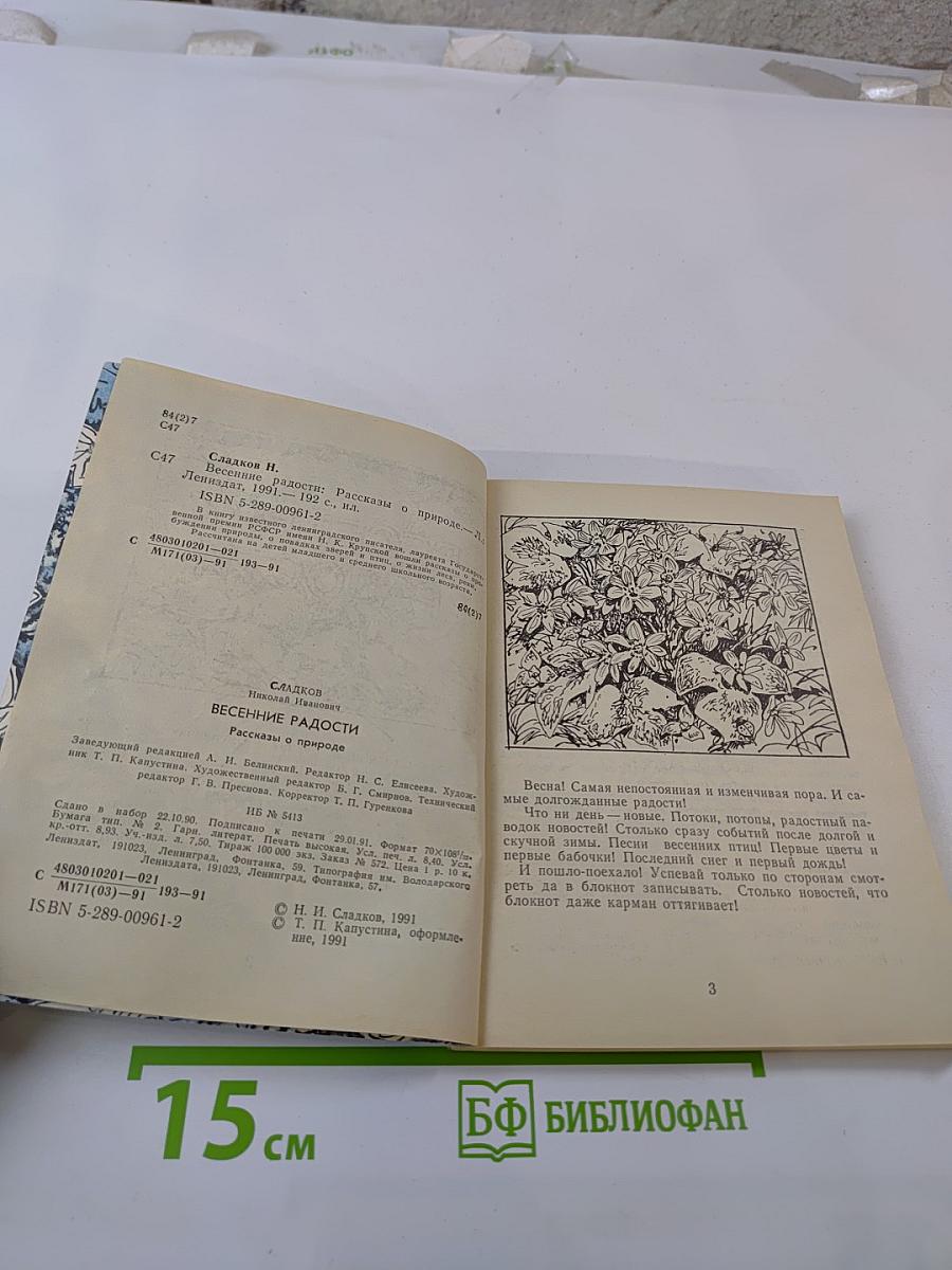 Весенние радости