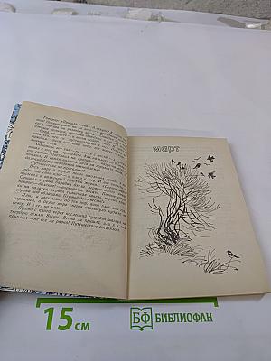 Весенние радости