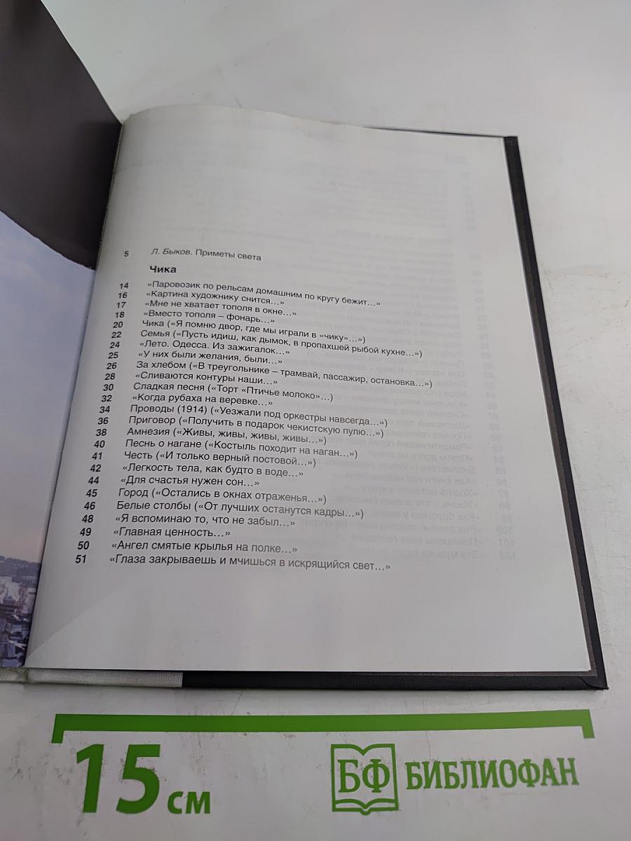 Светотень: Стихотворения 2006-2008