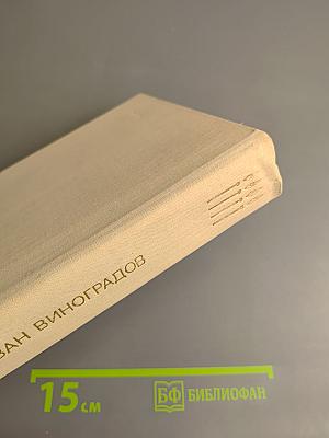 Потери – один человек... Утро Победы. Дом. Волны