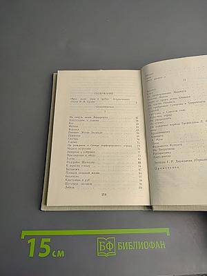 Стихотворения. Проза