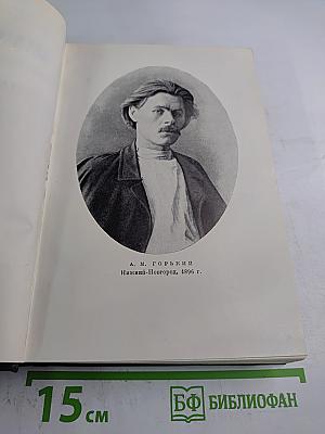 Собрание сочинений. Том 2: Рассказы; Стихи (1895-1896)