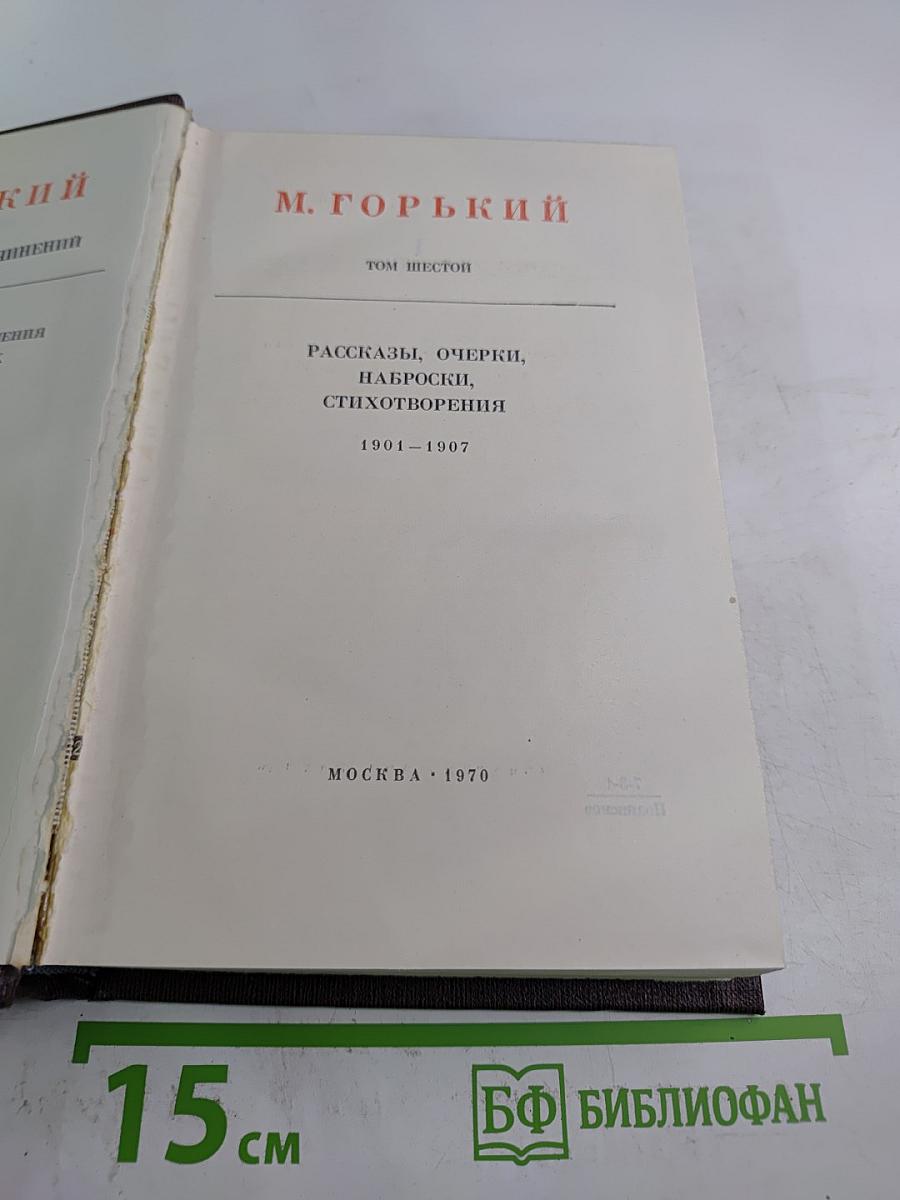 Художественные произведения. Том 6: Рассказы, очерки, наброски, стихотворения