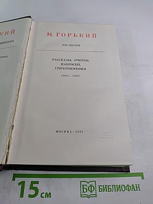 Художественные произведения. Том 6: Рассказы, очерки, наброски, стихотворения