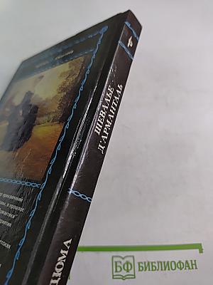 Шевалье д'Арманталь. Том I