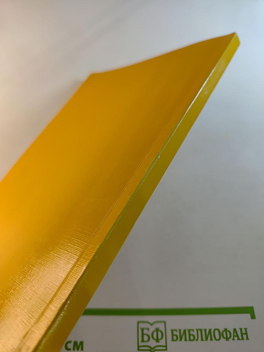 Экономический рост, ресурсозависимость и социально-экономическое неравенство. Материалы Всероссийской конференции 15 - 17 октября 2008 года