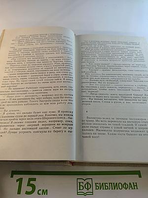 Товарищ Анна