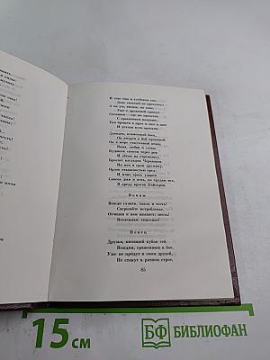 Бородинское поле: 1812 год в русской поэзии