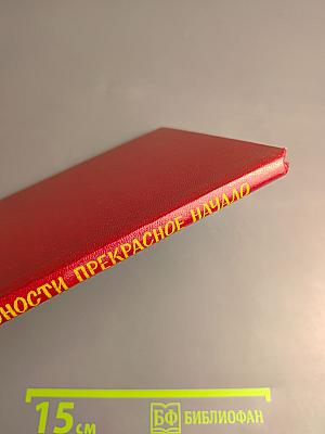 Юности прекрасное начало