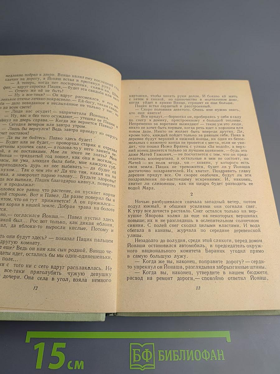 Осинное гнездо