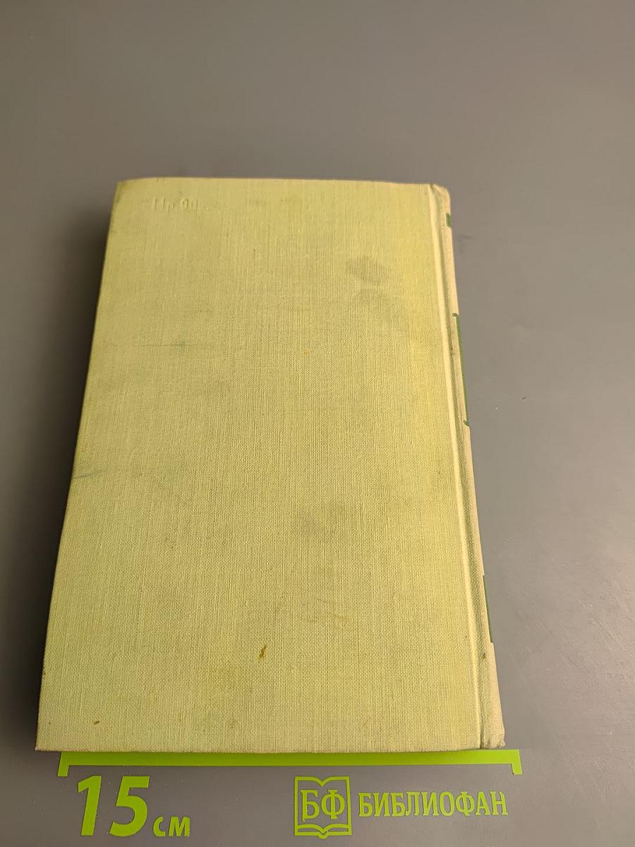 Осинное гнездо