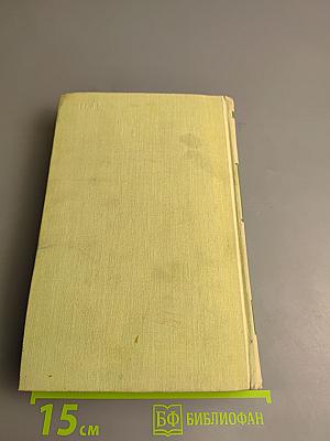 Осинное гнездо