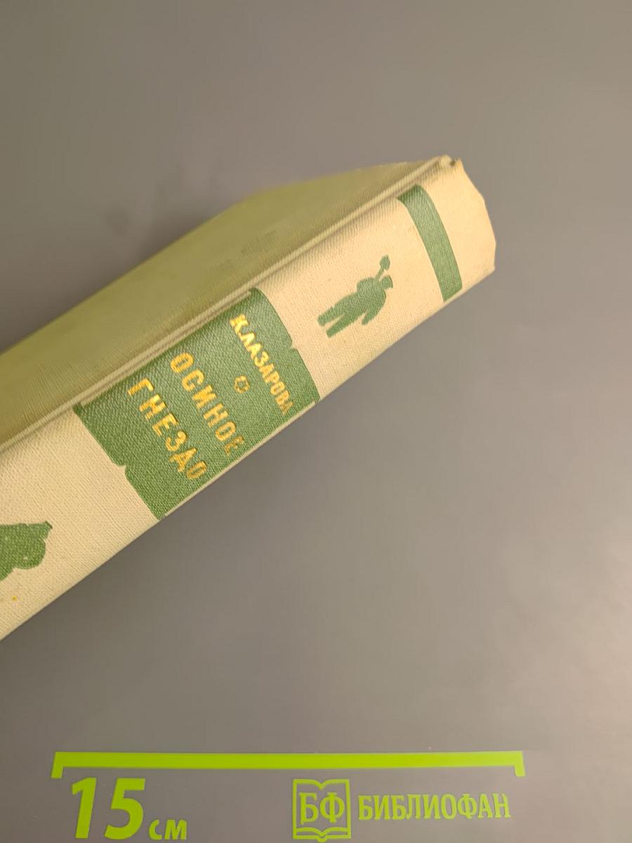 Осинное гнездо